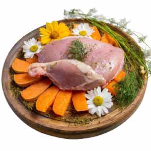 Granule pro psy TYGERO 50 Krůtí a Kachní - pro stěňata malých plemen - 2kg Granule pro psy TYGERO 50 Krůtí a Kachní - pro stěňata malých plemen - 2kg